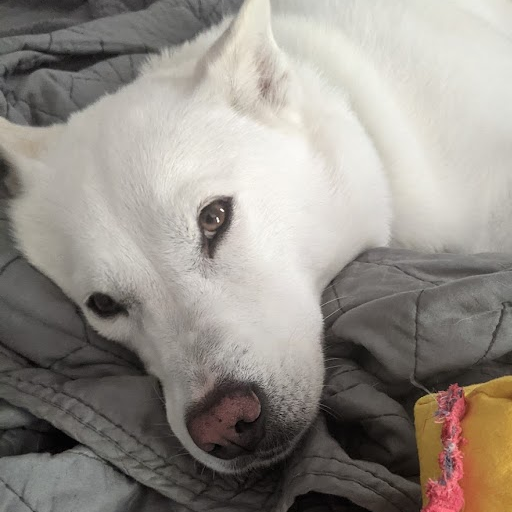 yuki